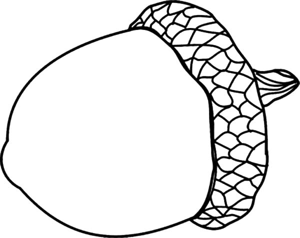 600x476 Acorn Coloring Pages 2