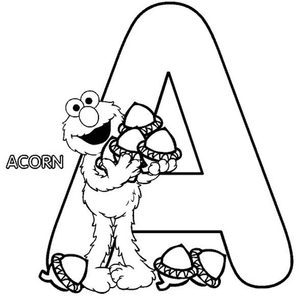 600x600 Acorn Coloring Page Clipart Panda