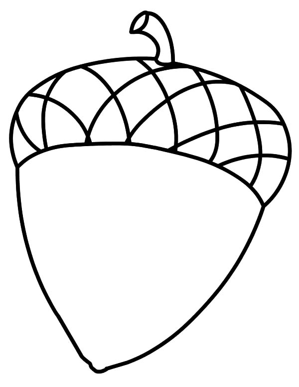 600x776 Acorn Coloring Sheet Acorn Color Pages Printables Coloring Pages