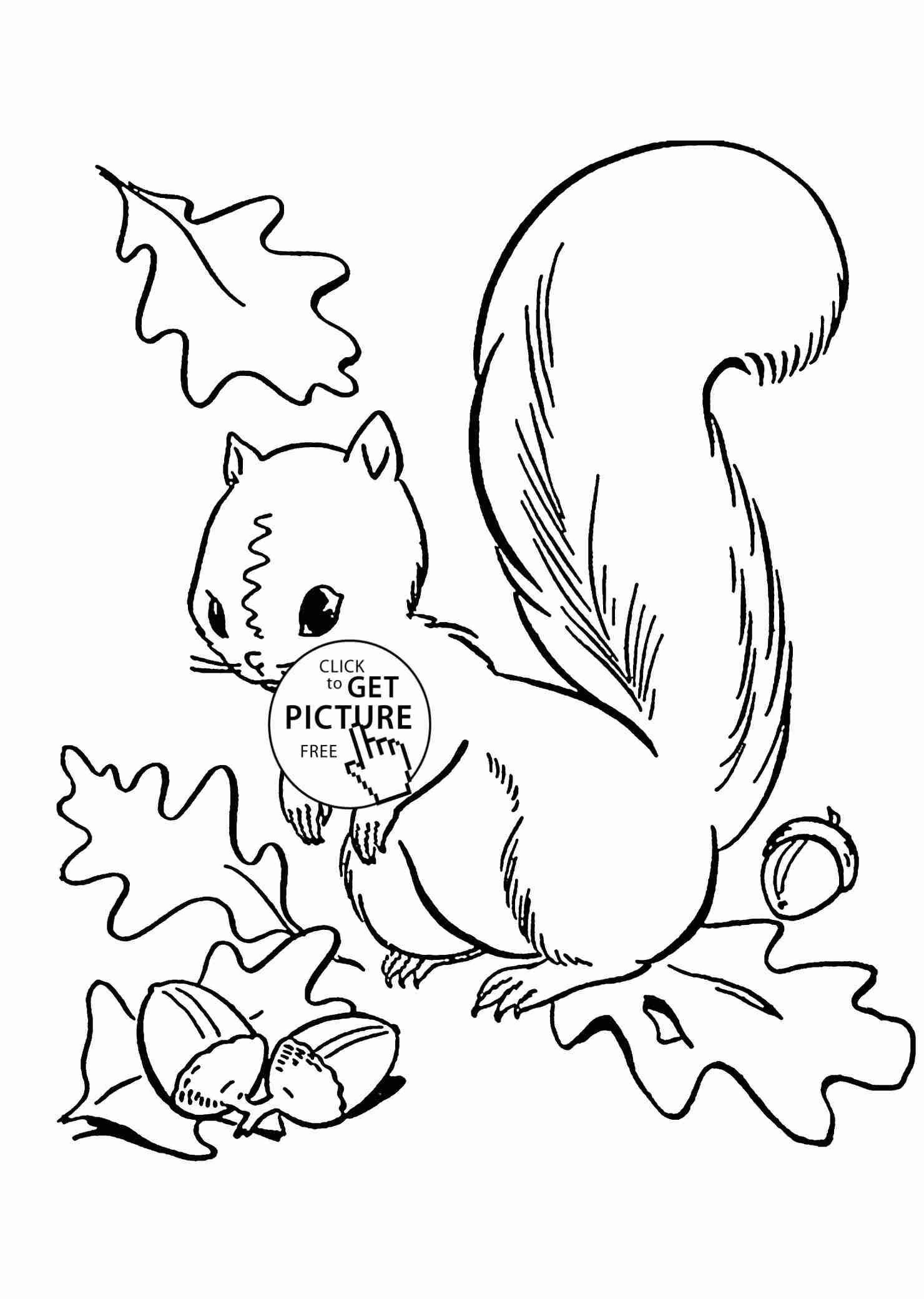 1480x2080 Autumn Coloring Pages Printable Inside Acorn Color 19 Page