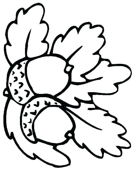 450x572 Acorn Coloring Page Acorn Coloring Pages Acorn Coloring Page Acorn