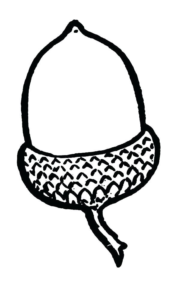 600x948 Acorn Coloring Page Acorn Outline Coloring Pages Acorn Coloring