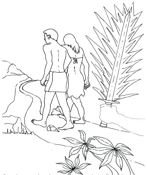 507x602 Adam Eve Coloring Pages