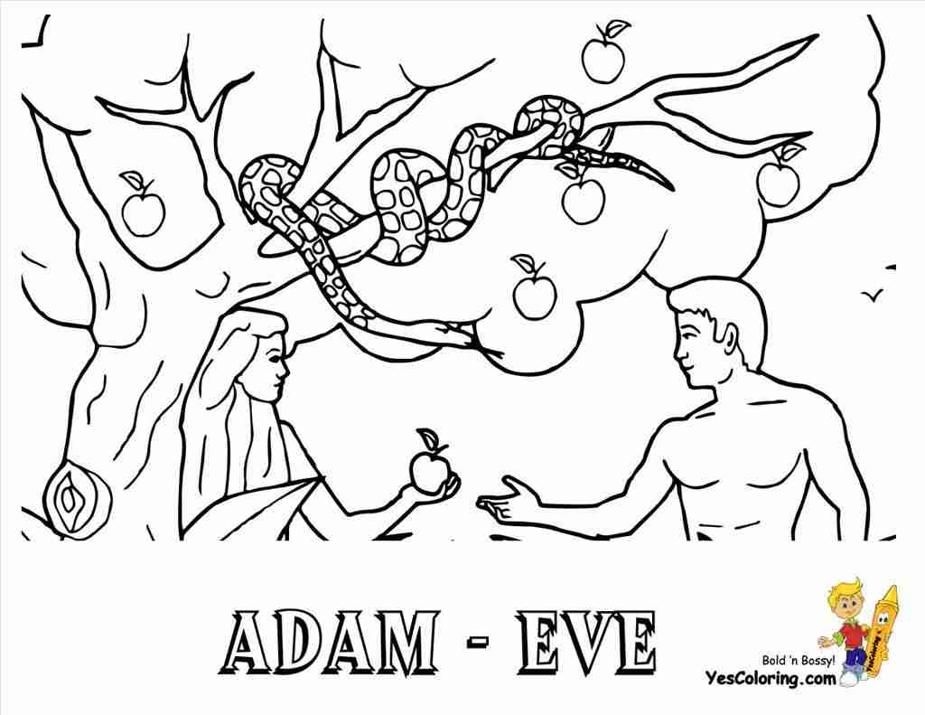 1024x791 Best Adam And Eve Coloring Pages Imagine Unknown Resolutions