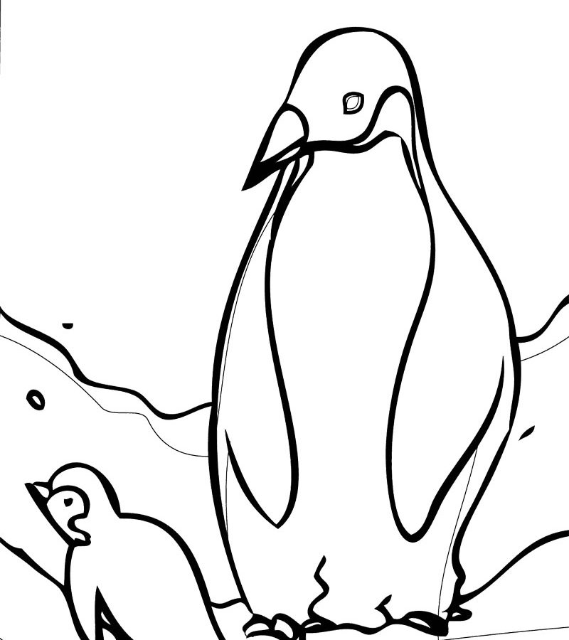 800x900 Cute Penguin Coloring Pages Hard For Toddler Sensational Page
