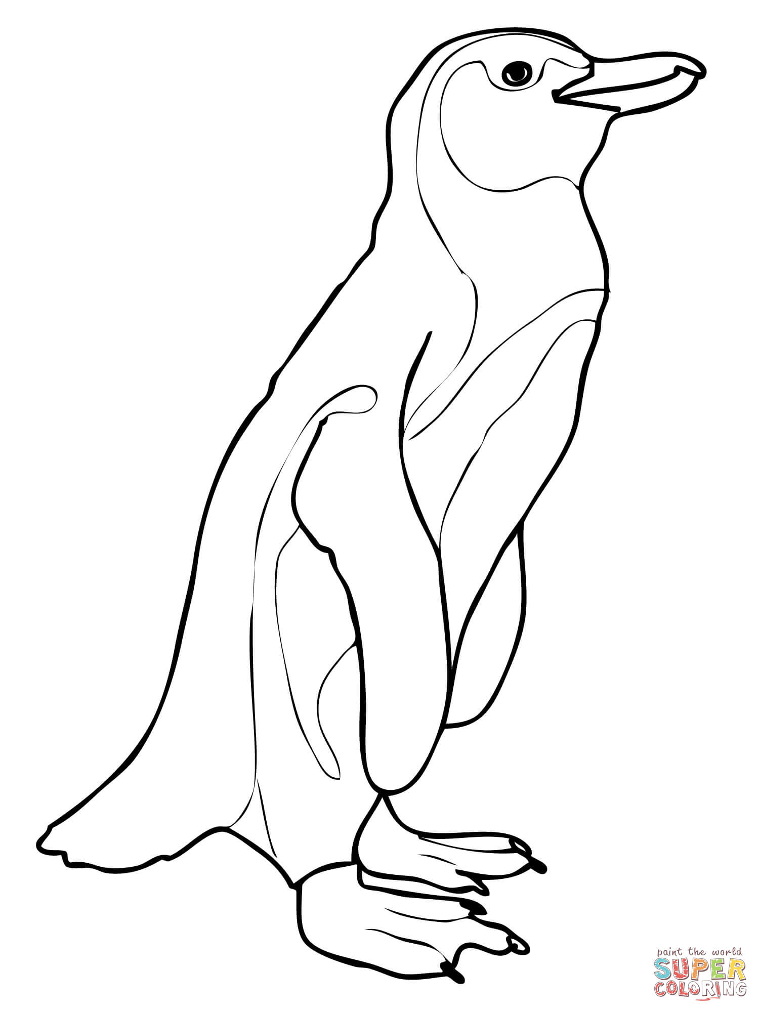 1500x2000 Image Gallery Humboldt Penguin Coloring Pages Awesome Adelie