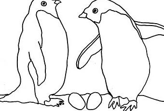 340x230 Penguin Coloring Page