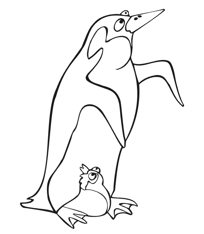 660x757 Penguin Coloring Page Elegant Adelie Penguin Coloring Page Logo