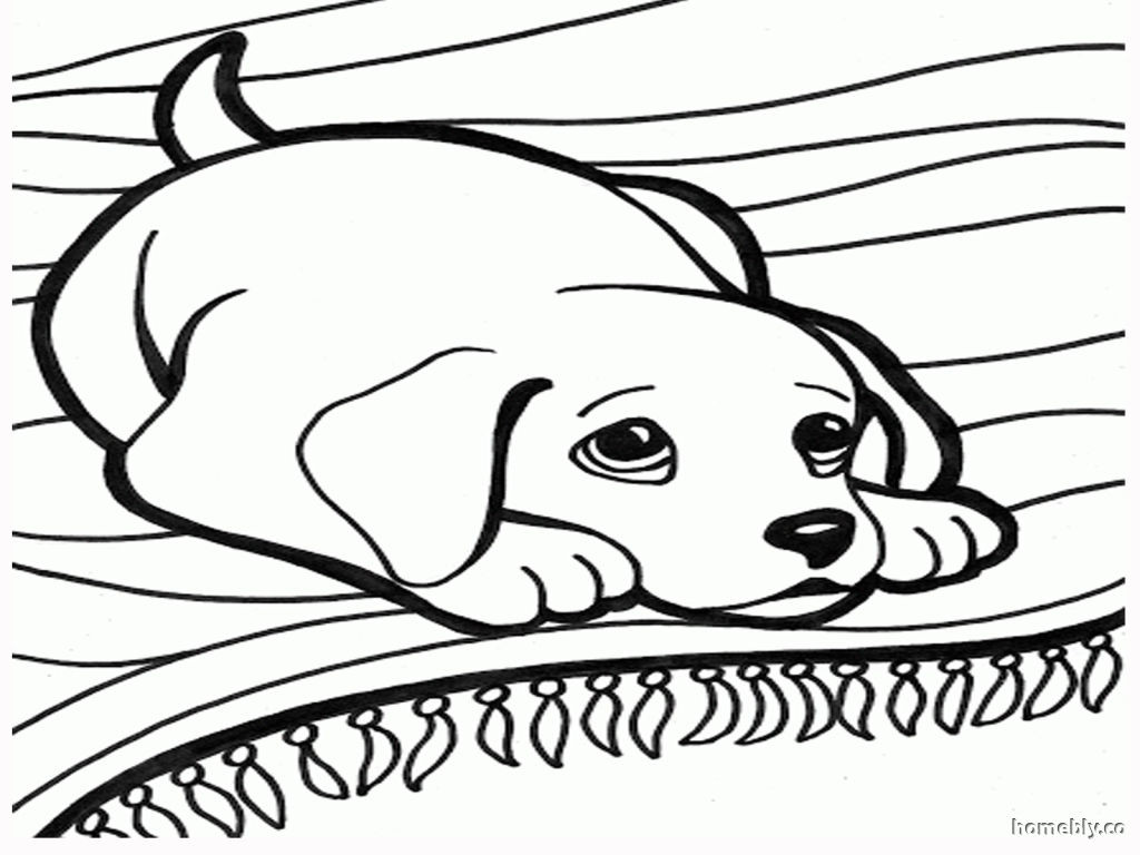 1024x768 Puppy Coloring Pages Dog And Best Diy At Ribsvigyapan Com Adorable