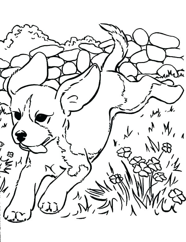 600x780 Coloring Pages Of Cute Puppies Puppy Color Pages Cute Puppy