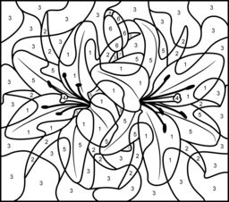 256x226 18 Best Colour By Number Images On Adult Coloring