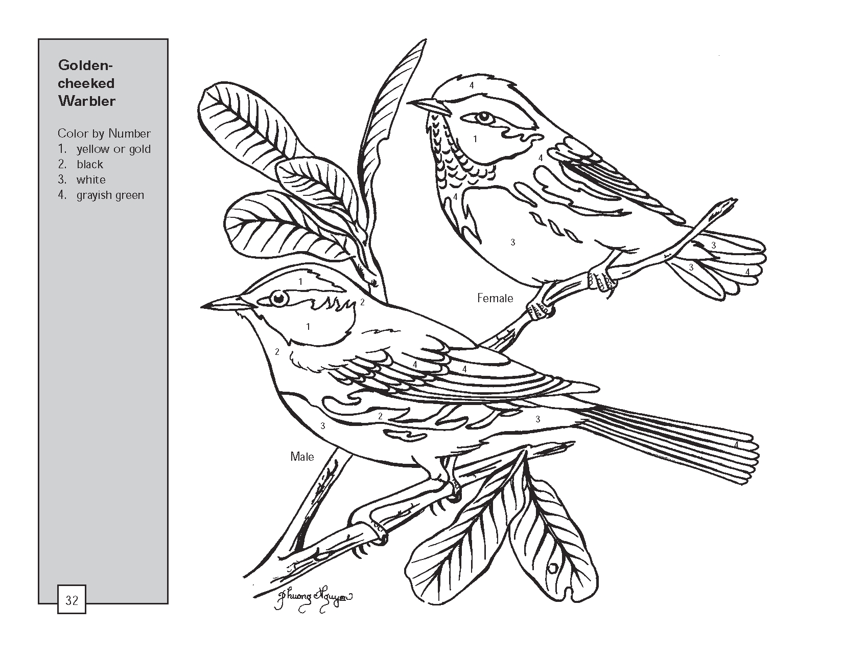 1650x1275 Free Printable Paint By Number Coloring Pages