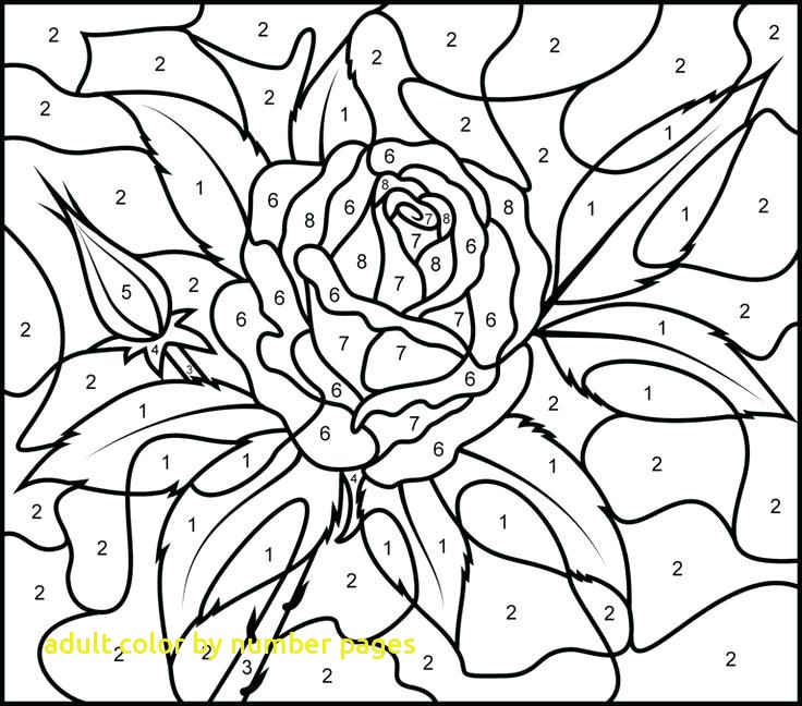 736x648 Incredible Ideas Adult Color By Number Pages With Free