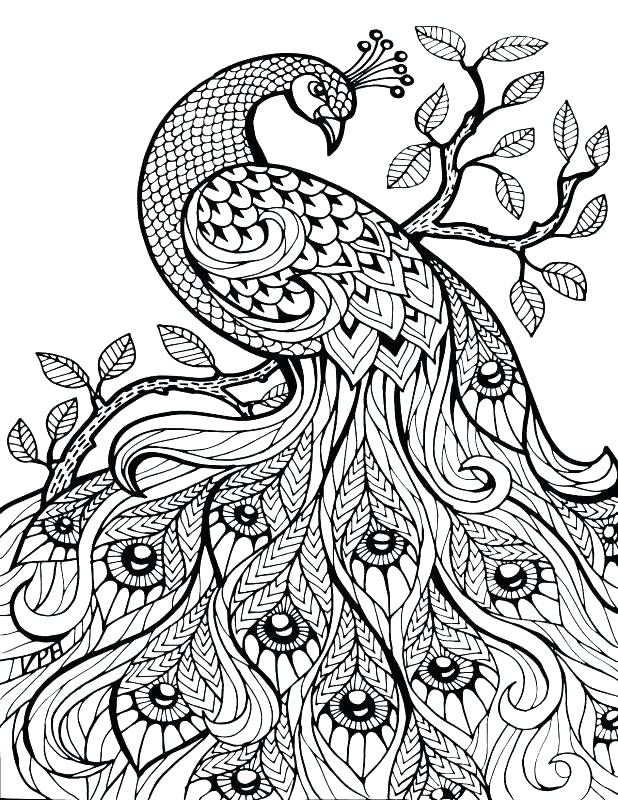 618x800 Color By Number Adult Coloring Books