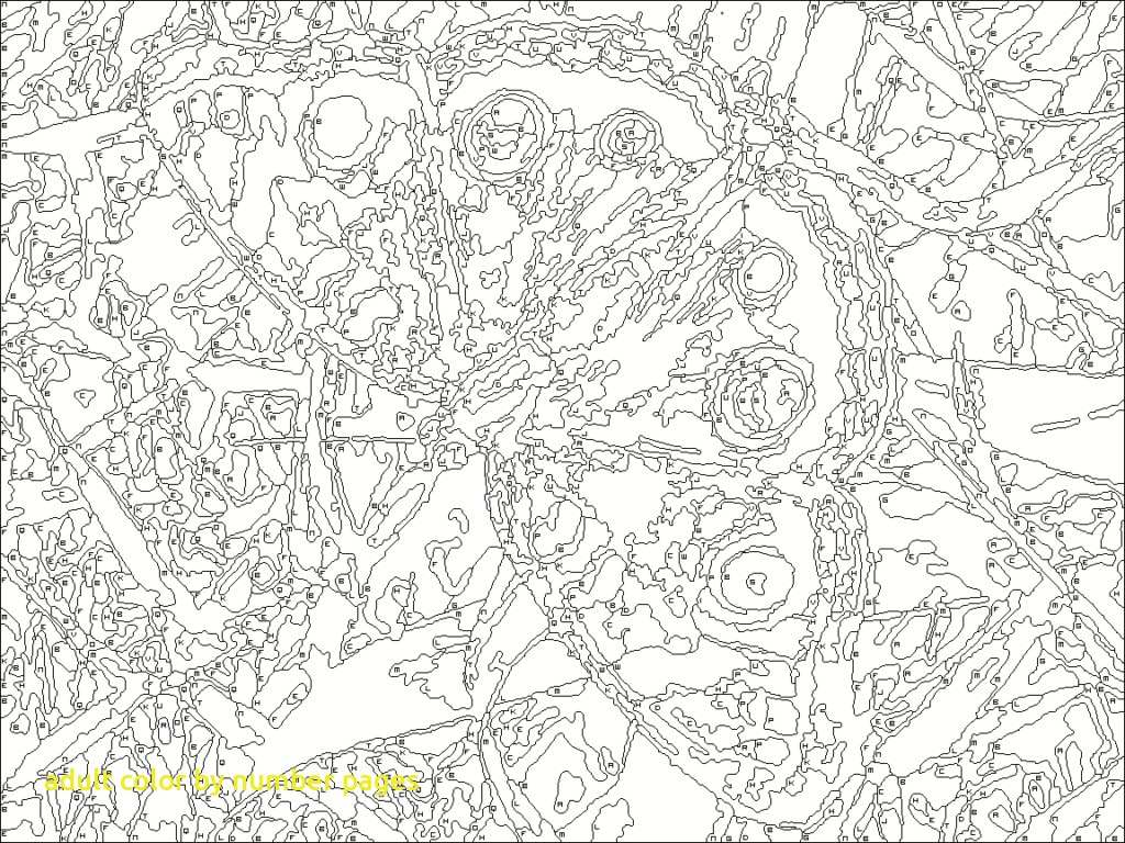 1024x768 Adult Color By Number Pages With 24 Free Printable Color By Number