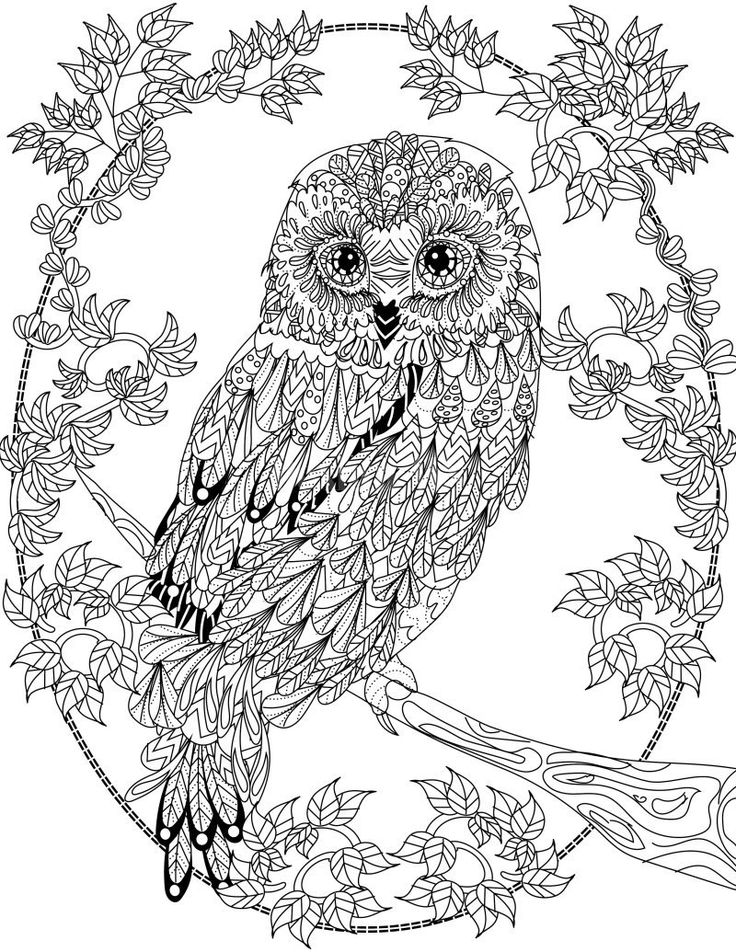 Adult Coloring Pages Birds