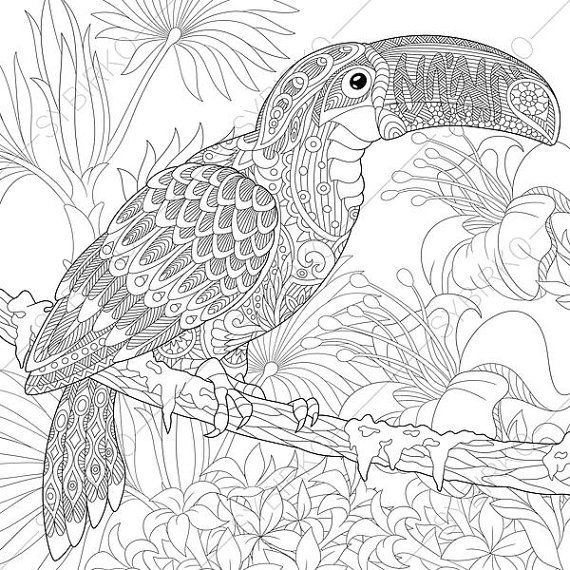 570x570 Adult Coloring Pages. Toucan. Zentangle Doodle Coloring Pages