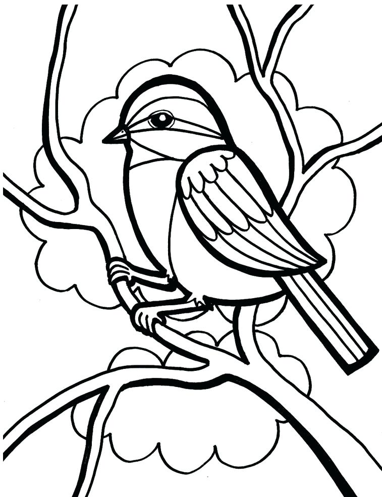 757x985 Coloring Page Of A Bird Coloring Page Bird Toucan Coloring Page