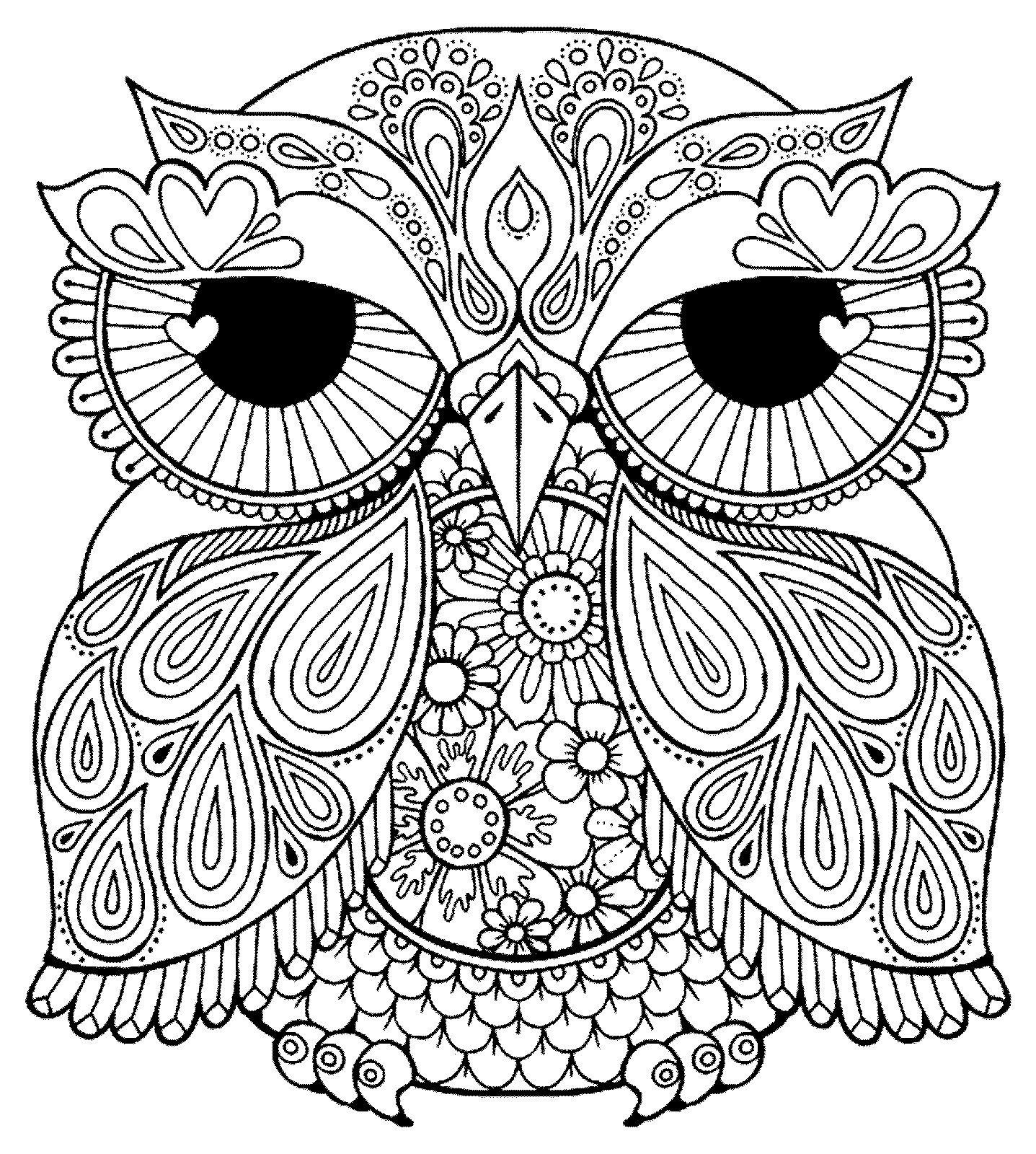 1437x1600 Owls Coloring Pages Free Noticeable Of For Adults Acpra