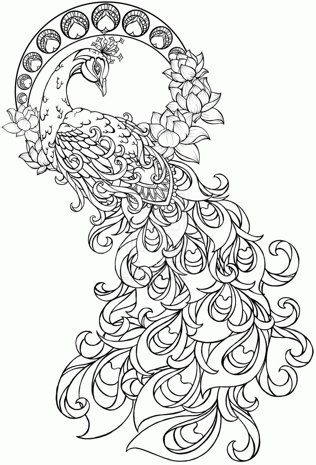1024x1505 Unique Peacock Page To Color Collection Printable Coloring Sheet