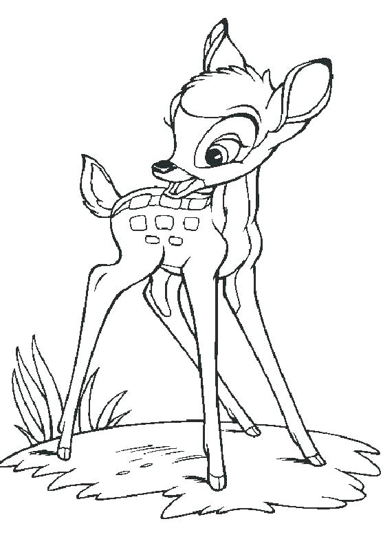 557x784 Deer Coloring Pages Deer Coloring Pages Top For Your Little Ones