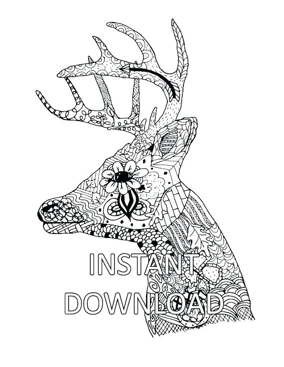 570x737 Deer Head Coloring Pages Deer Coloring Sheet Deer Head Coloring