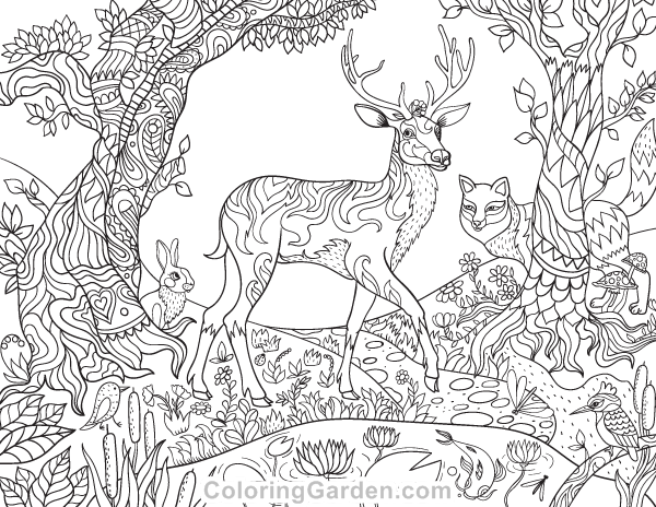 600x464 Pin By Muse Printables On Adult Coloring Pages