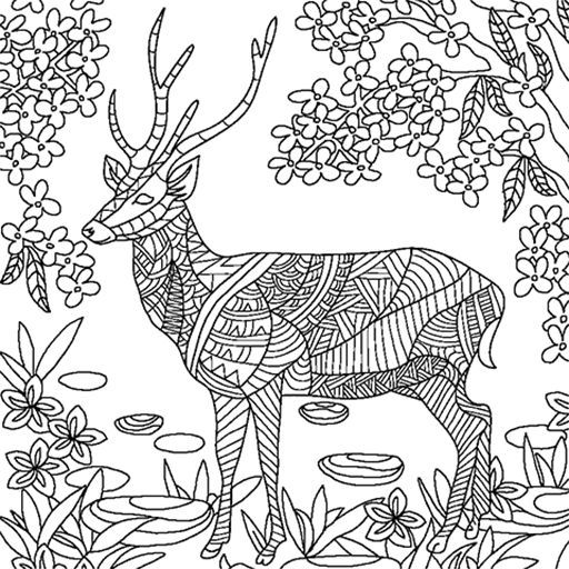 512x512 Pin By Suecia Flores On Para Colorear