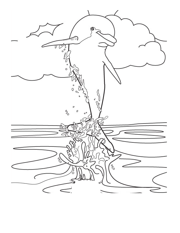 618x800 Dolfins Adult Coloring Page Image Clipart Images