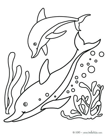 364x470 Dolphins Coloring Page Coloring Pages Of Dolphins Coloring Page