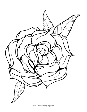281x363 Unfold Coloring Page