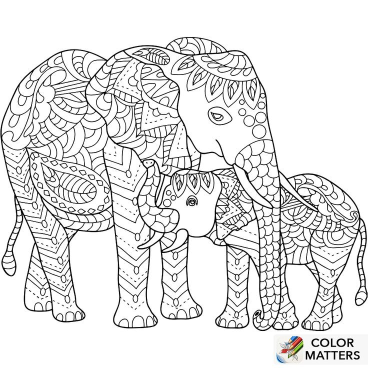 736x736 Adult Coloring Pages Printable Elephant Unique Free Printable