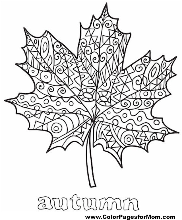 640x771 Fall Coloring Pages 2