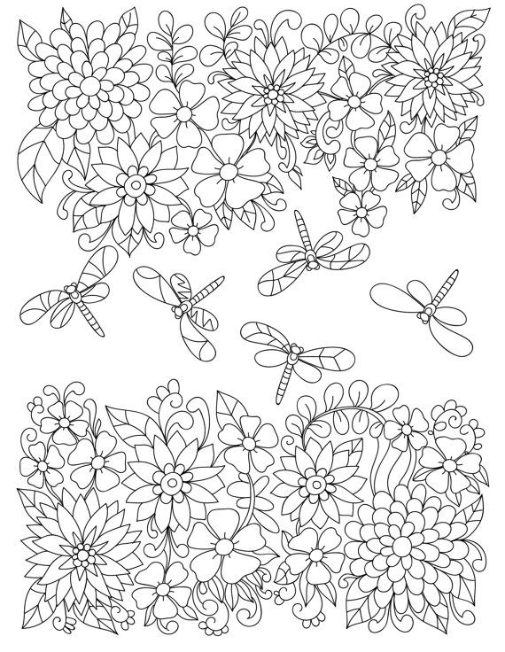 Adult Coloring Pages Garden