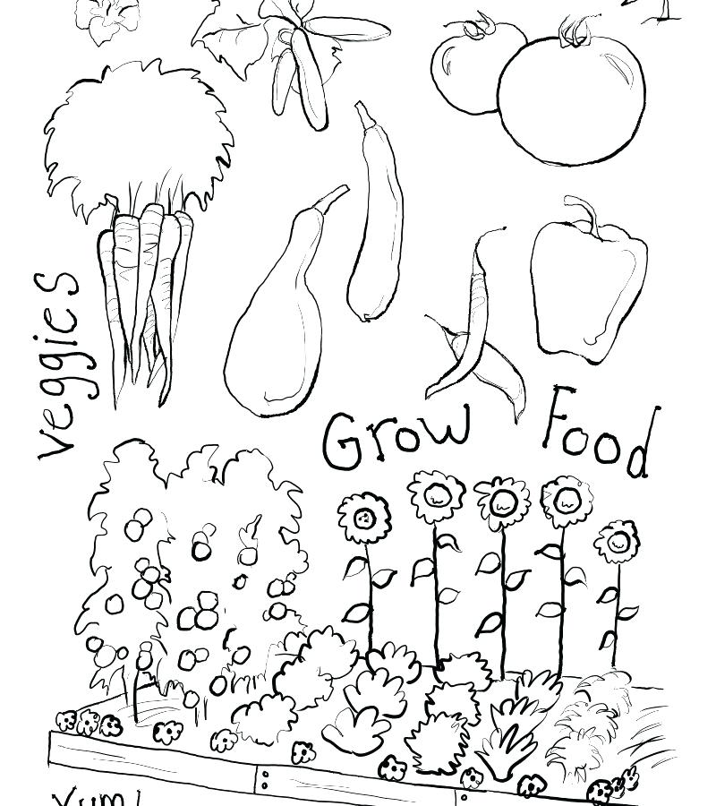 800x900 Coloring Pages Garden Download Print Little Girl Watering Flower
