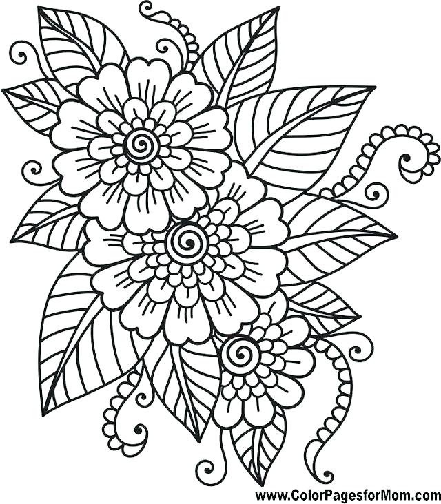 640x732 Flower Garden Coloring Page Coloring Page Of A Flower Printable