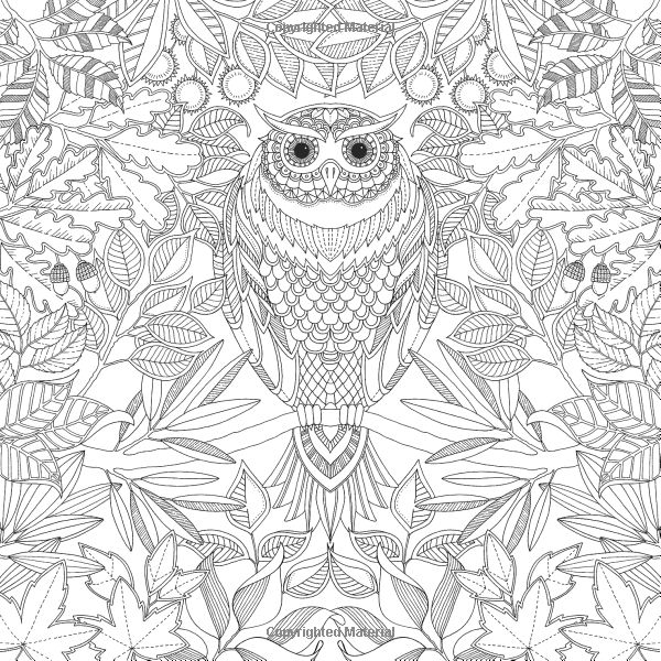 600x600 Secret Garden Coloring Pages To Print Coloring