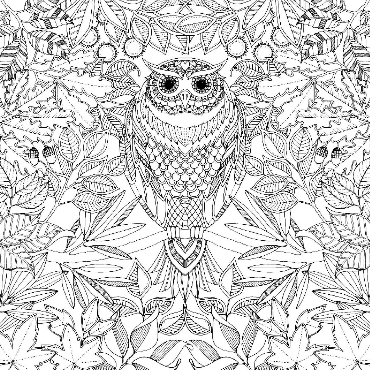 1280x1280 Adult Coloring Pages Of Animals In A Garden Printable