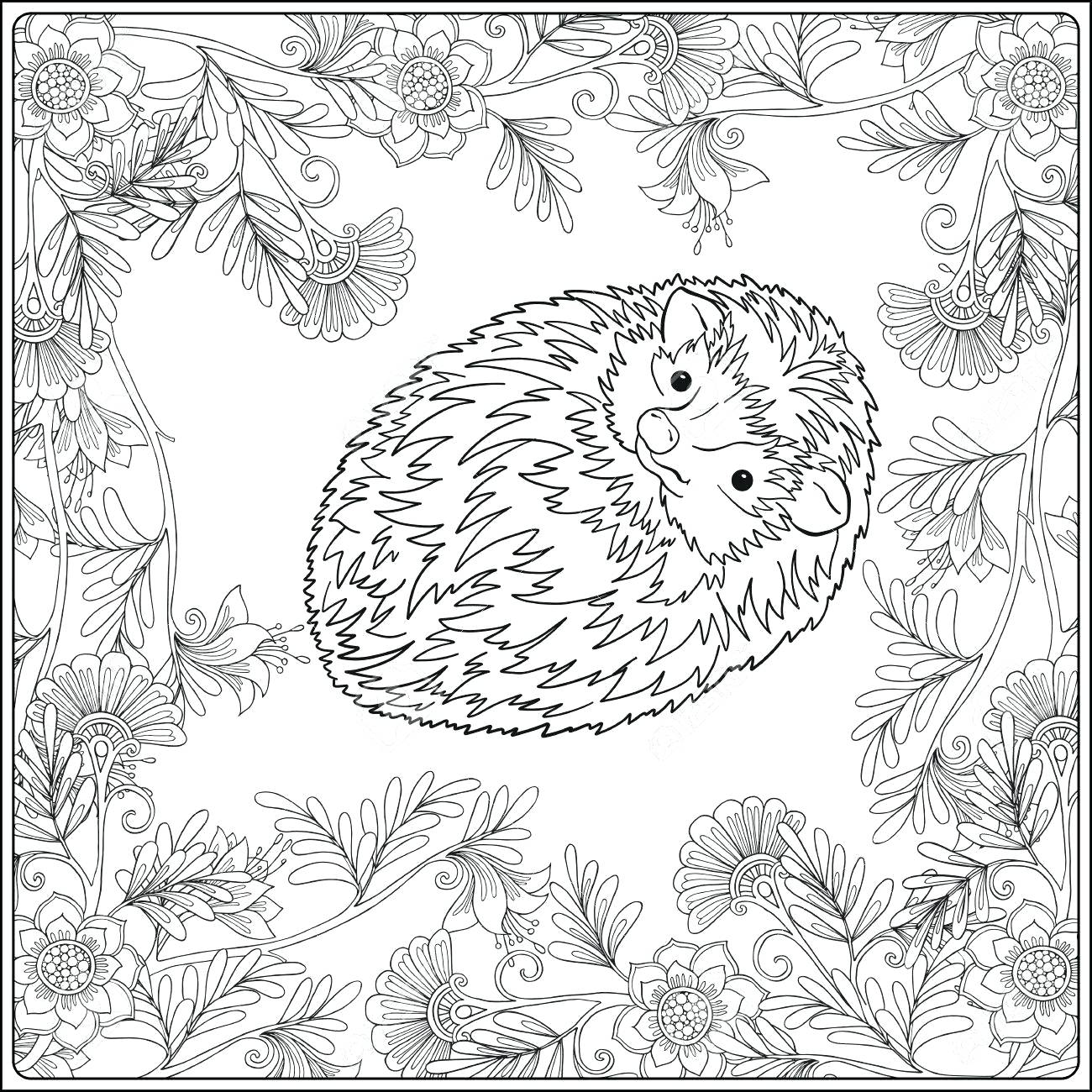 1300x1300 Coloring Pages ~ Garden Coloring Pages Gardening Flower Garden