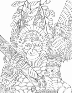 Adult Coloring Pages Nature