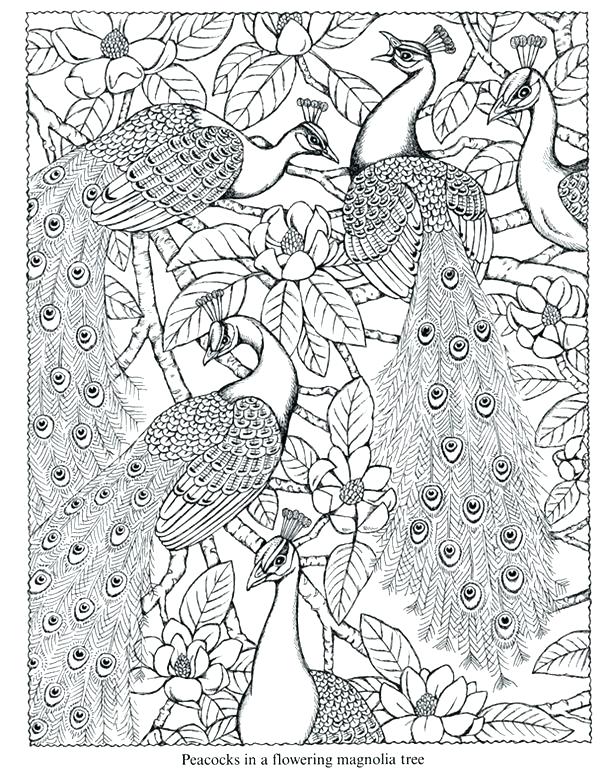 608x770 Peacock Coloring Pictures Peacock Coloring Pages For Adults 2