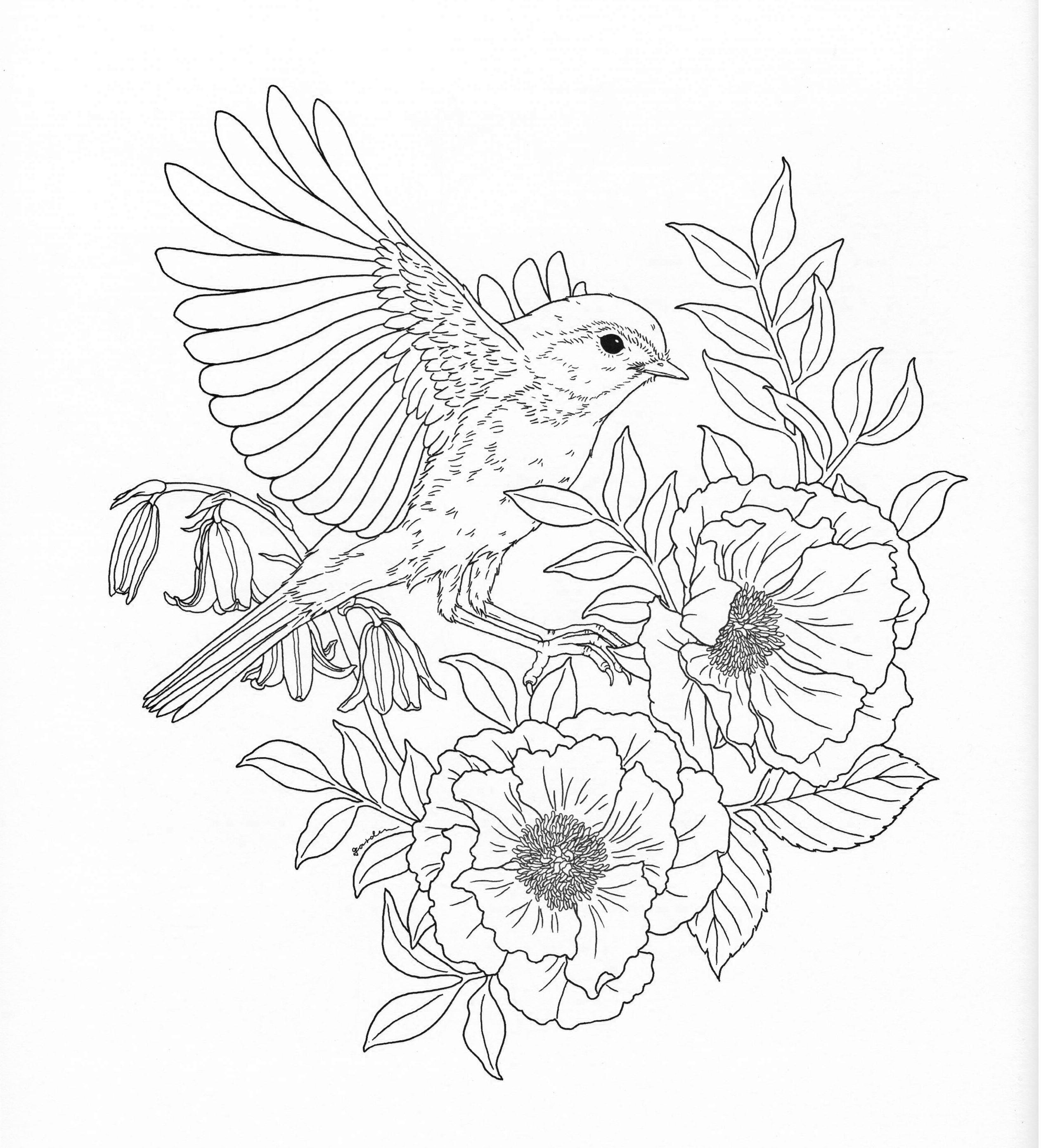 2522x2782 Printable Harmony Nature Adult Coloring Book Pg 26 Free Coloring