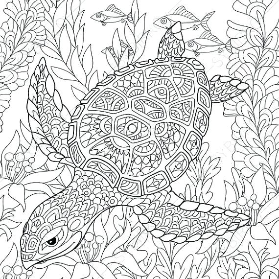 570x570 Animal Coloring Pages For Adults Coloring Pages Coloring Pages