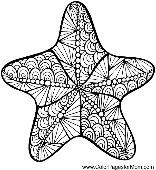 640x696 Starfish Zentangle Colouring Page Coloring