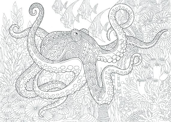 570x407 Sea Life Coloring Pages