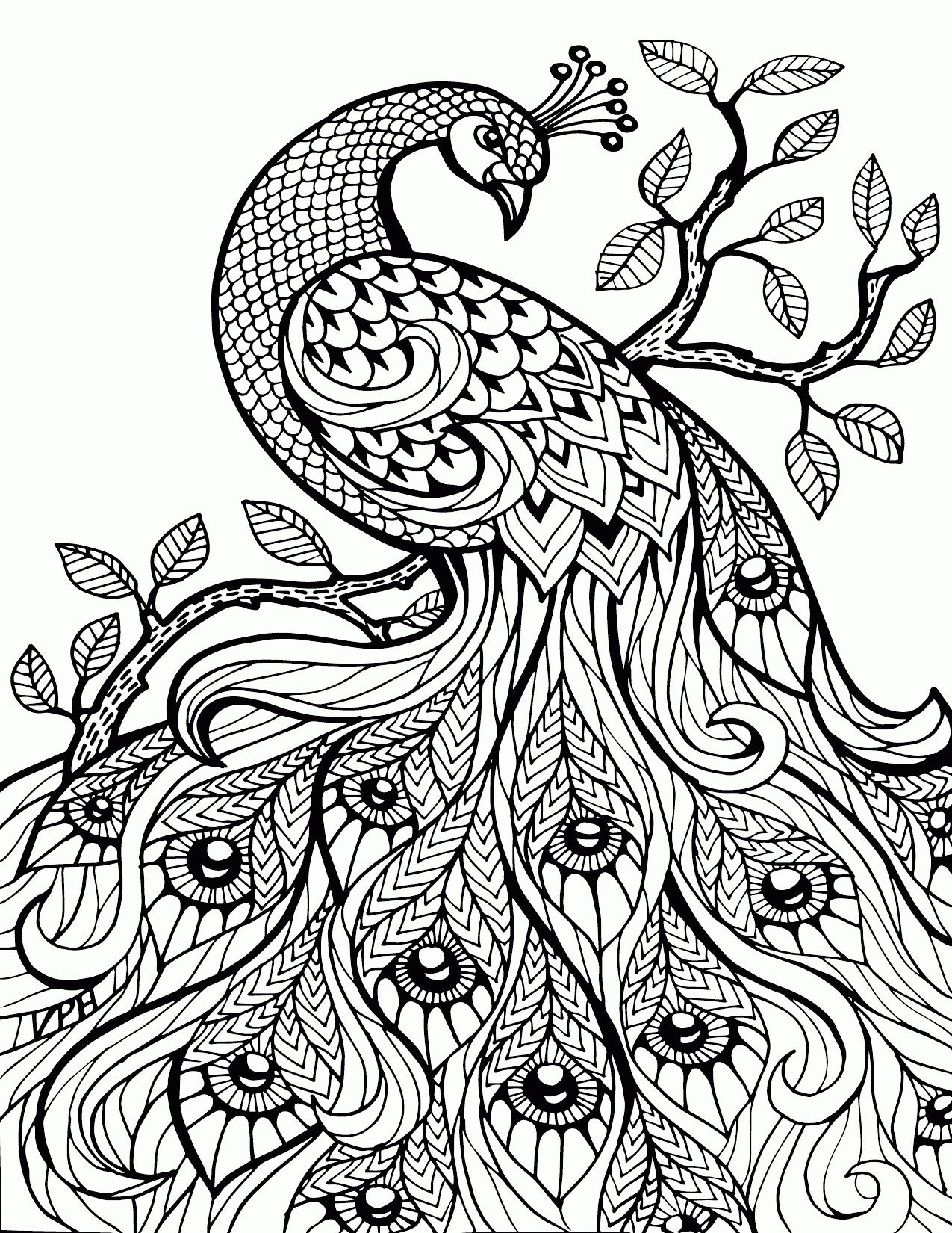 1275x1650 Printable Adult Coloring Pages Paisley 10 H Stress Relief