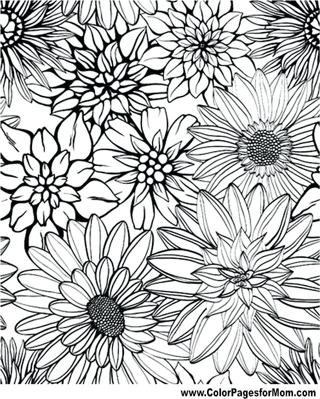 640x799 Printable Adult Coloring Pages Patterns Flowers Download
