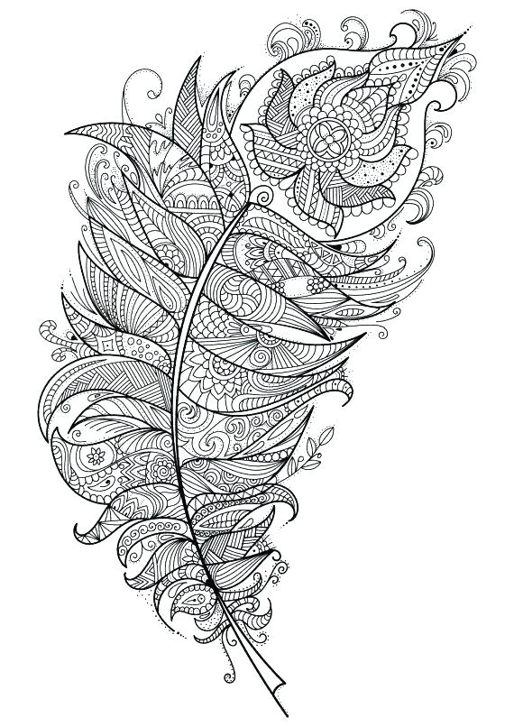 570x806 Feather Coloring Pages Cool Peacock Feather Coloring Page Feather