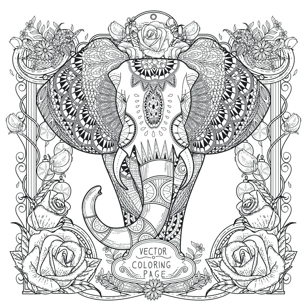 1024x1024 Coloring Page ~ Elephant Color Page Splendid Coloring Stock Vector
