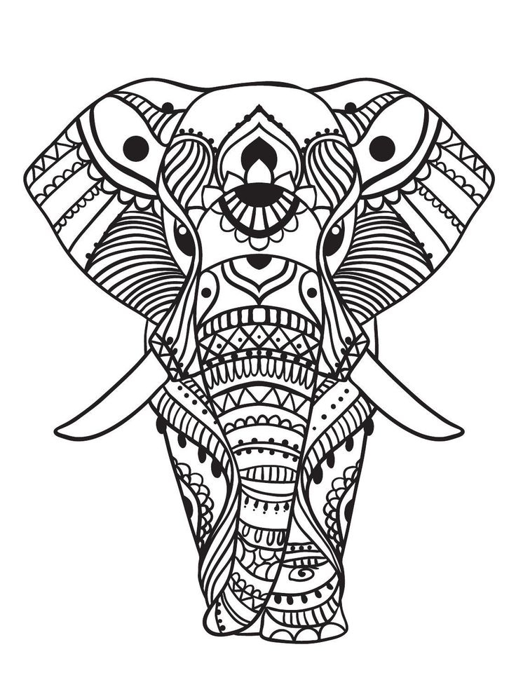 736x980 Easy Elephant Adult Coloring Pages Printable